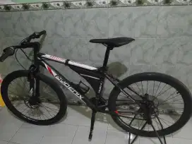 Sepeda mtb phoenix