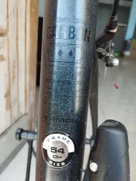 Road bike carbon