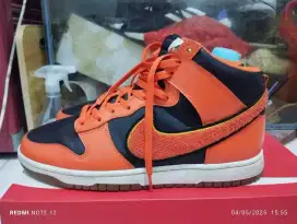 Nike dunk hi retro university
