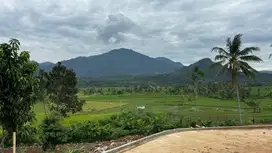 Tanah Kavling Villa Murah di Cariu Bogor Lokasi Pinggir Jalan Raya