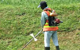 JASA POTONG RUMPUT