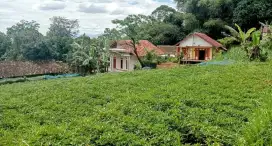 JUAL TANAH KOSONG PINGGIR JALAN CIMAUNG BANJARAN