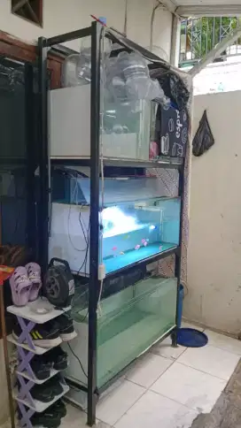 dijual aquarium,rak