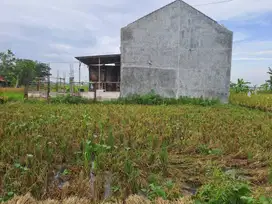 DIJUAL HEMAT TANAH DEKAT KAWASAN KIIC KARAWANG BARAT