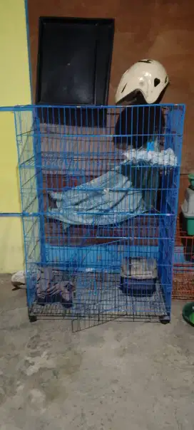 Kandang kucing tingkat