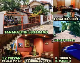 Dijual Rumah Tanah Putih Candisari
