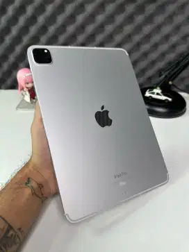 iPad Pro 11 Inch Gen 4 Wifi + Cellular 256gb Silver Ex iBox