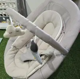 Bouncer Nuna Leaf