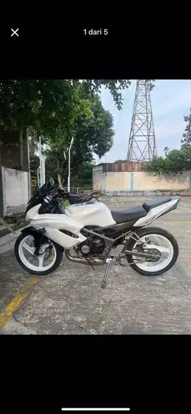 Ninjja rr new 2012