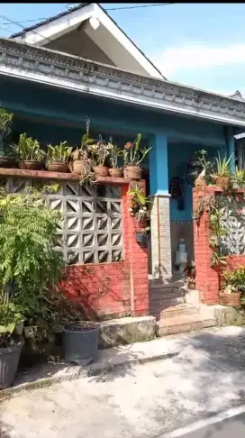 Rumah 70 dekat pasar kalioso
