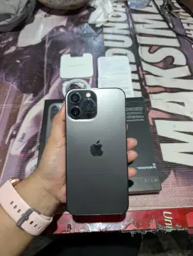 iphone 13 pro max 512Gb