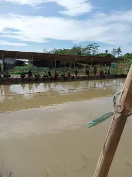 Kolam Pemancingan