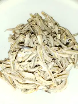 Ikan teri jengki
