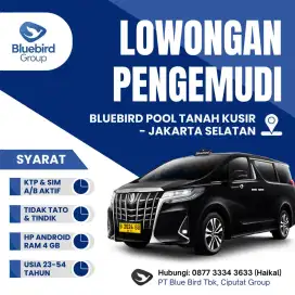 Driver / Pengemudi Eksekutif