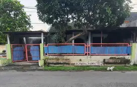 ‼️Rumah Murah Griya Citra Asri SBY Barat ‼️