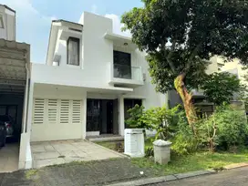 Cluster Allevare Foresta BSD