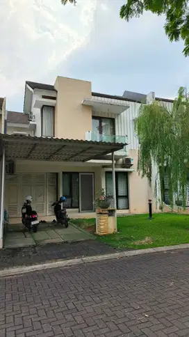 Allevare Foresta BSD City