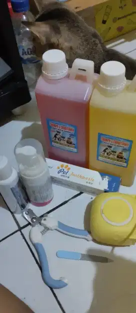Perlengkapan Grooming Kucing