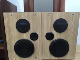 Speaker subwoofer custom