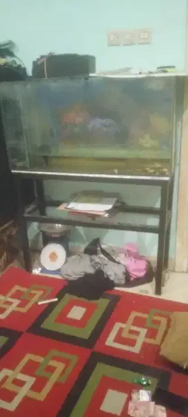 Satu Set Aquarium + Rak Aquarium
