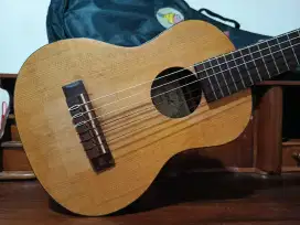 Gitar kecil/gitarlele