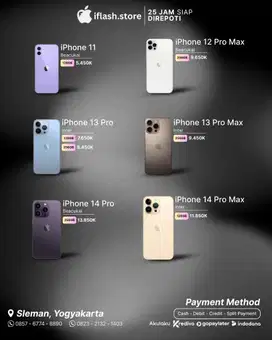 13 Promax 256gb