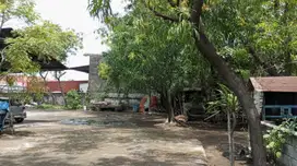Dijual tanah raya greges nol jalan raya propinsi, strategis