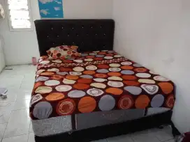 Full Divin + springbed
