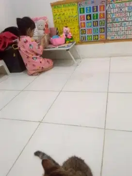 Butuh Cari baju celana sepatu pria