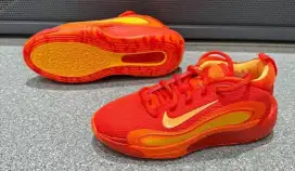 Sepatu basket Nike isofly