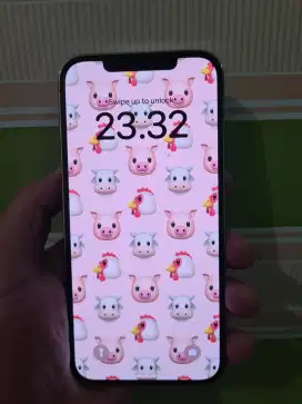 DI JUAL IPHONE 12 PRO MAX
