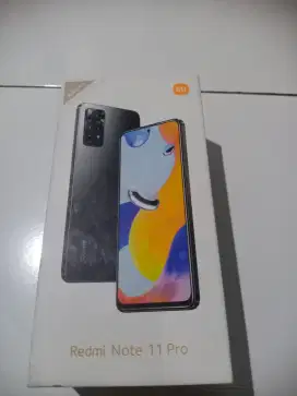 Dus hp redmi note 11 pro