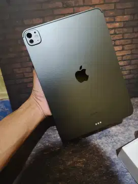iPad Pro M4 11inci 256 iBox Like New