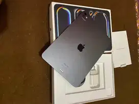ipad Pro M4 256 Ex iBox like new