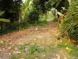 Dijual tanah di Daerah Pamulang @LST/S/3874