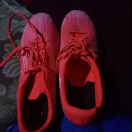 Jual sepatu sped