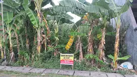 DIJUAL TANAH MURAH DI SUMBERREJO, PAKAL BENOWO, SURABAYA