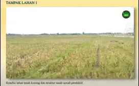 DI JUAL TANAH PINGGIR JALAN RAYA SRIJAYA CBL DEKAT TOL GABUS