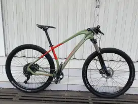 MTB Thrill ravage 4.0