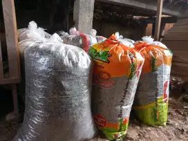 Kohe kambing siap pakai