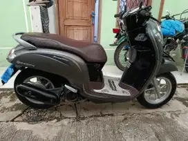Scopy  2019 ban donat