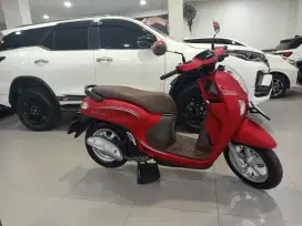 Scoopy prestige 2024