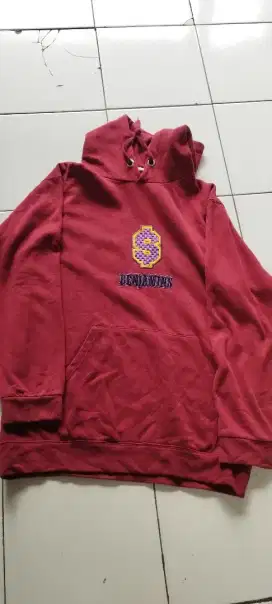 Hoodie thrifting XL/L