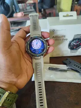Amazfit T-rex Pro