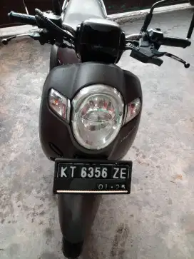 Scoppy f1stylish 2020