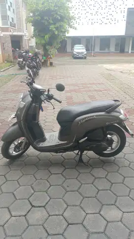 HONDA SCOOPY STYLISH 2019