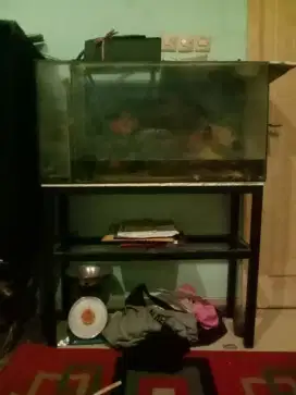 Aquarium + rak Aquarium