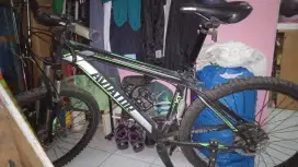 Jual Sepeda Aviator 2689 XT
