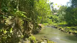 Freehold 1.500 sqm Land with Stunning Views of Valley and River Ubud