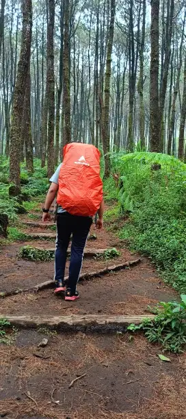 Tas Eiger Original 45L